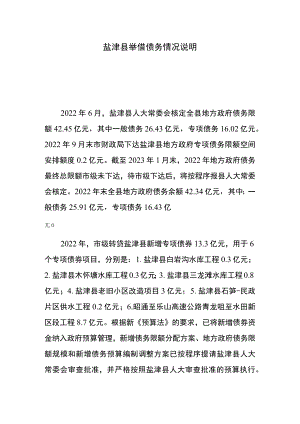 盐津县举借债务情况说明.docx