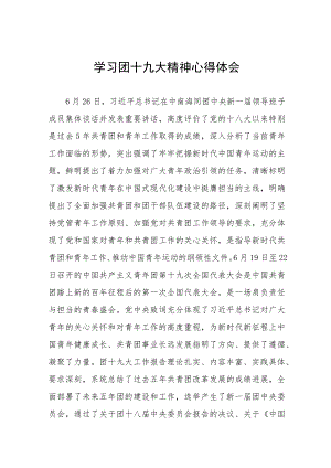 团十九大精神学习心得体会七篇.docx