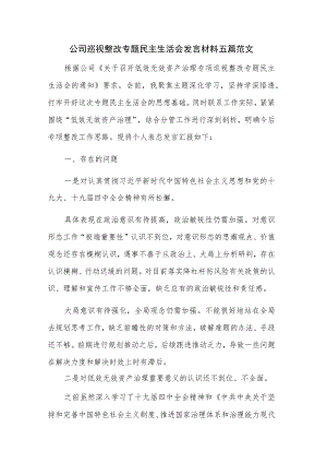 公司巡视整改专题民主生活会发言材料五篇范文.docx