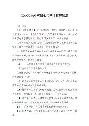 供水有限公司审计管理制度.docx