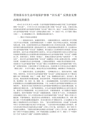 贯彻落实市生态环境保护督察“回头看”反馈意见整改情况的报告.docx