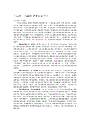 在巡察工作动员会上表态发言.docx