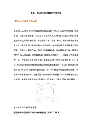 最新：TAVR优化策略的中国方案.docx