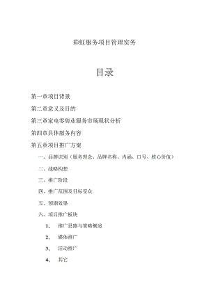 彩虹服务项目管理实务.docx