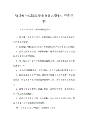 项目安全总监或安全负责人安全生产责任制模板范本.docx