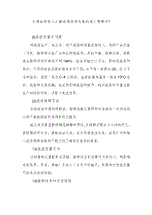 土鸡放养技术之造成鸡免疫失败的原因有哪些？.docx