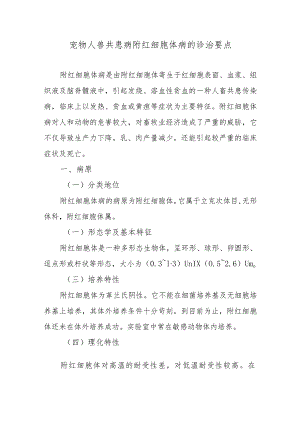 宠物人兽共患病附红细胞体病的诊治要点.docx