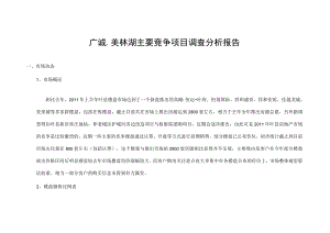 叶县市调分析报告OK.docx