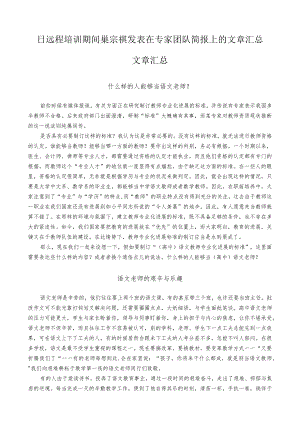 日远程培训期间巢宗祺发表在专家团队简报上的文章汇总.docx