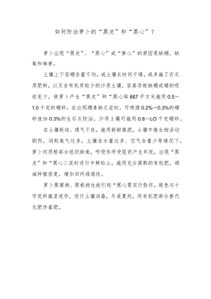 如何防治萝卜的“黑皮”和“黑心”.docx