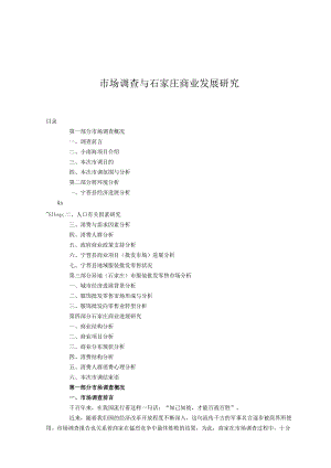 市场调查与石家庄商业发展研究.docx