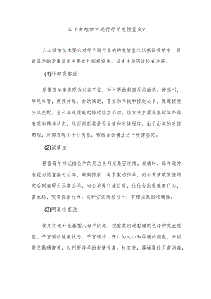 山羊养殖如何进行母羊发情鉴定？.docx