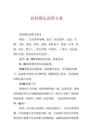 农村婚礼流程方案.docx