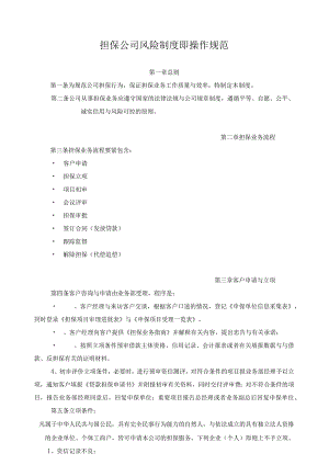 担保公司风险制度即操作规范.docx