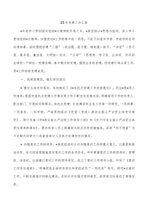 23年党建工作汇报.docx
