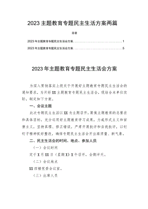 2023主题教育专题民主生活方案两篇.docx