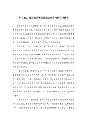 2023学习青海省第十四届四次全会精神心得体会（共5篇）.docx