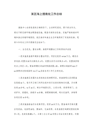 某区海上搜救处工作总结.docx