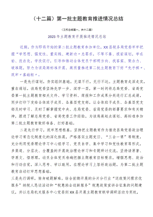 （十二篇）第一批主题教育推进情况总结.docx