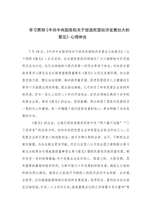 2023学习贯彻《中共中央国务院关于促进民营经济发展壮大的意见》心得体会(精选13篇汇编).docx