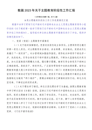数篇2023年关于主题教育阶段性工作汇报.docx