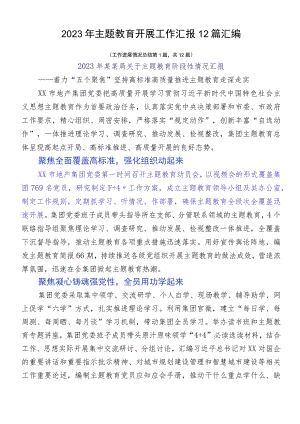 2023年主题教育开展工作汇报12篇汇编.docx