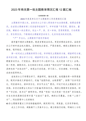 2023年有关第一批主题教育情况汇报12篇汇编.docx