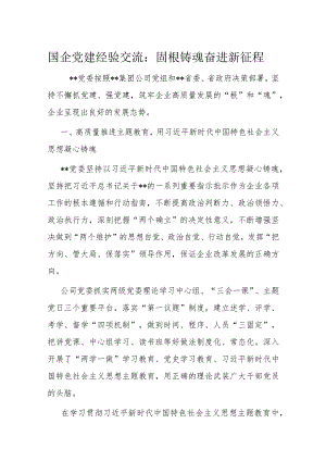 国企党建经验交流：固根铸魂奋进新征程.docx
