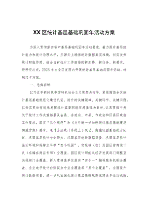 XX区统计基层基础巩固年活动方案.docx