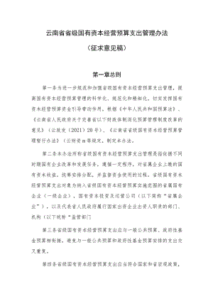 云南省省级国有资本经营预算支出管理办法.docx