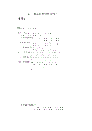 ZHC精品服装店营销策划书.docx