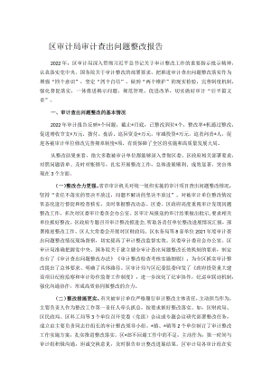 区审计局审计查出问题整改报告.docx