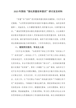2023年围绕“强化质量效率意识”研讨发言材料.docx