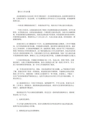 大学毕业实习工作总结.docx
