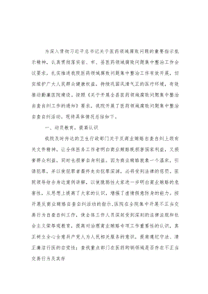 2023年医药领域腐败问题集中整治自查自纠合集多篇资料.docx