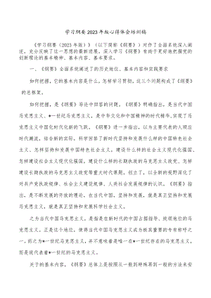 学习纲要2023年版心得体会培训稿.docx
