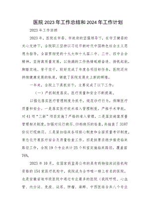 医院2023年工作总结和2024年工作计划.docx