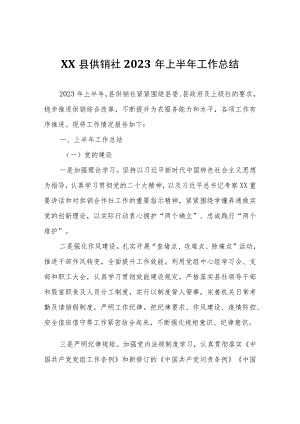 XX县供销社2023年上半年工作总结.docx