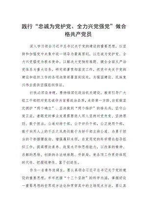 （5篇）2023践行“忠诚为党护党、全力兴党强党”做合格共产党员范文.docx