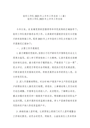驻村工作队2023年上半年工作总结(二篇).docx