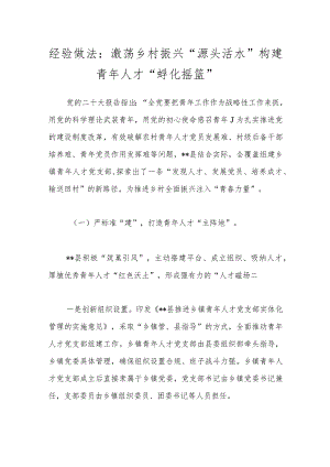 经验交流：激荡乡村振兴“源头活水” 构建青年人才“孵化摇篮”.docx
