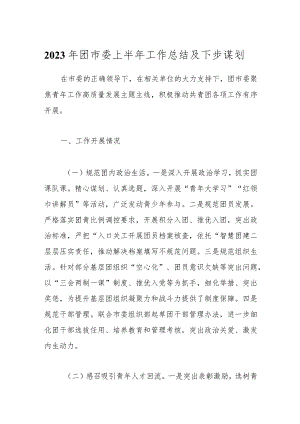 2023年团市委上半年工作总结及下步谋划.docx
