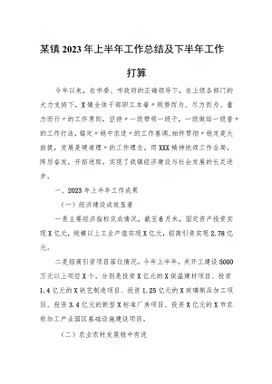 某镇2023年上半年工作总结及下半年工作打算.docx