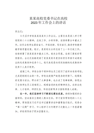 某某高校党委书记在高校2023年工作会上的讲话.docx