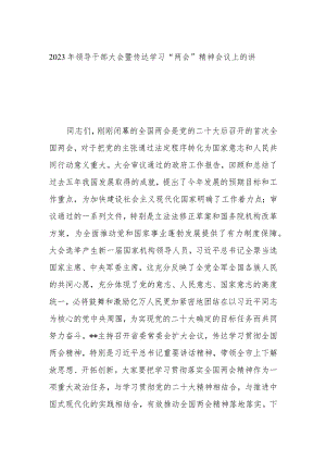 2023年领导干部大会暨传达学习“两会”精神会议上的讲话.docx