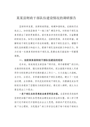 某某县财政干部队伍建设情况的调研报告.docx
