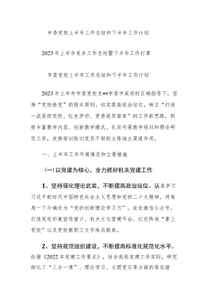 2023年上半年党务工作总结暨下半年工作打算范文.docx
