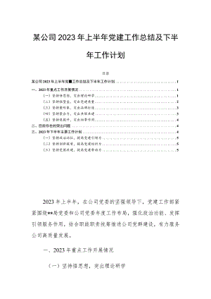 某公司2023年上半年党建工作总结及下半年工作计划.docx