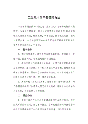 卫生院中层干部管理办法.docx
