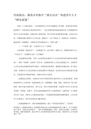 经验做法：激荡乡村振兴“源头活水” 构建青年人才“孵化摇篮”.docx